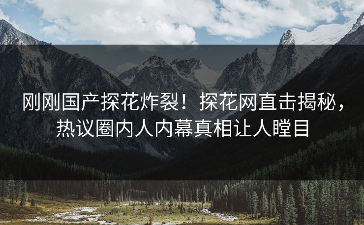 刚刚国产探花炸裂！探花网直击揭秘，热议圈内人内幕真相让人瞠目  第1张