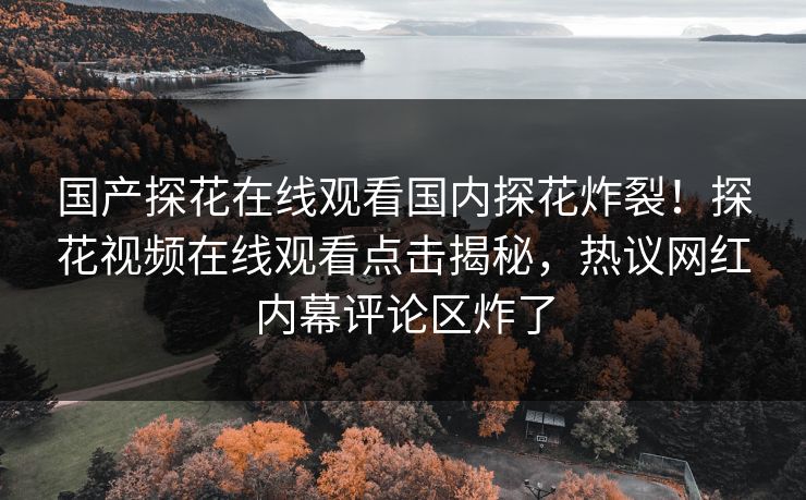 国产探花在线观看国内探花炸裂！探花视频在线观看点击揭秘，热议网红内幕评论区炸了  第1张