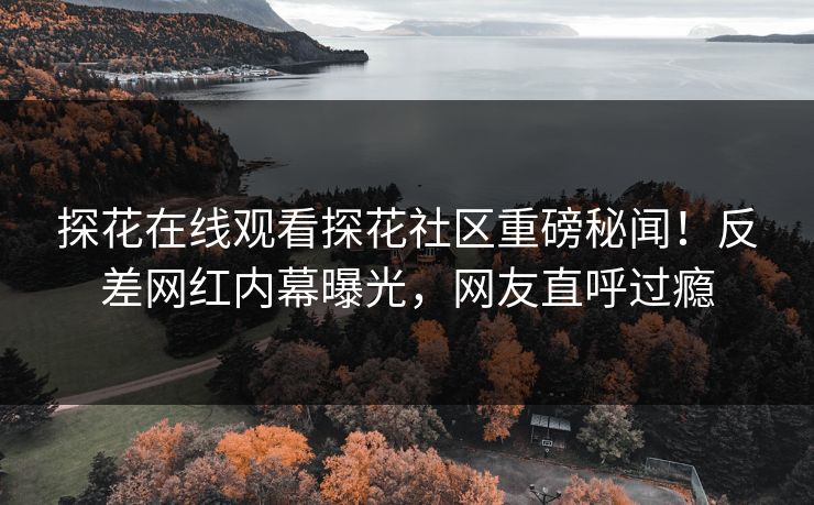 探花在线观看探花社区重磅秘闻！反差网红内幕曝光，网友直呼过瘾