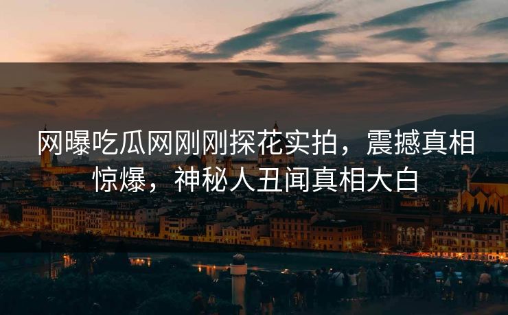 网曝吃瓜网刚刚探花实拍，震撼真相惊爆，神秘人丑闻真相大白