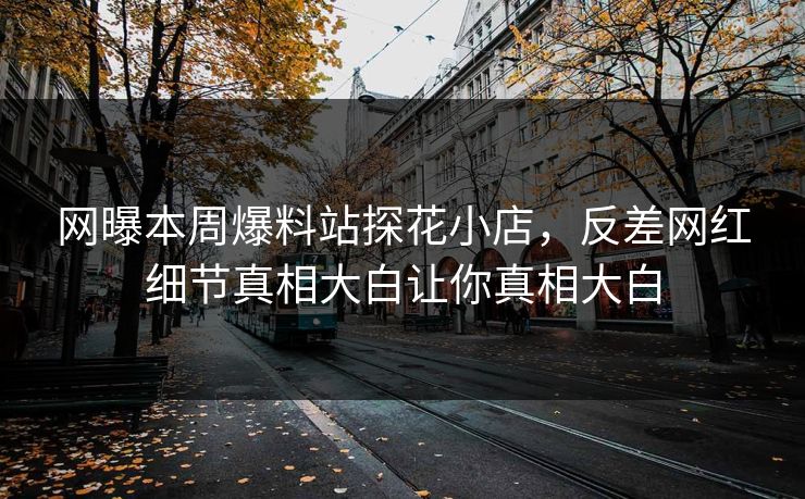 网曝本周爆料站探花小店，反差网红细节真相大白让你真相大白  第1张