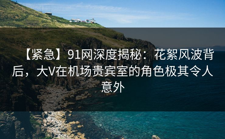 【紧急】91网深度揭秘：花絮风波背后，大V在机场贵宾室的角色极其令人意外  第1张
