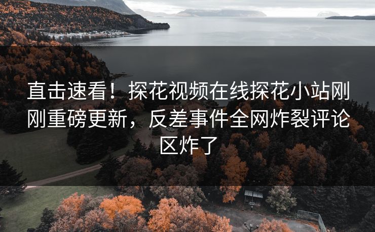 直击速看！探花视频在线探花小站刚刚重磅更新，反差事件全网炸裂评论区炸了  第1张