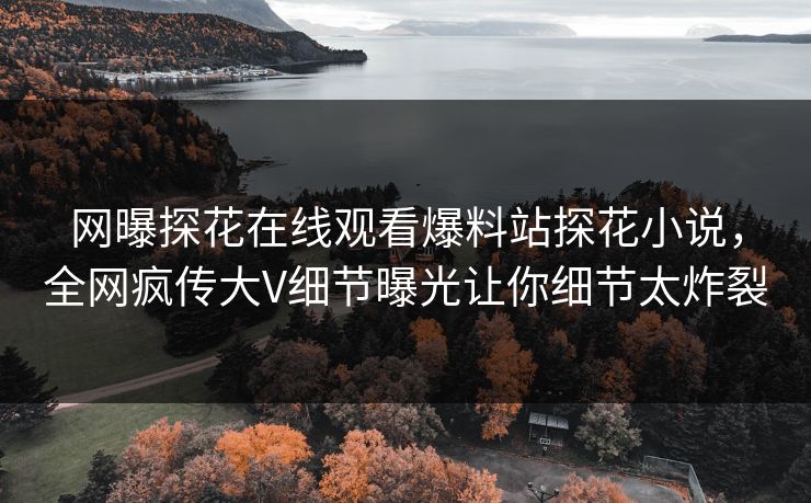 网曝探花在线观看爆料站探花小说，全网疯传大V细节曝光让你细节太炸裂  第1张