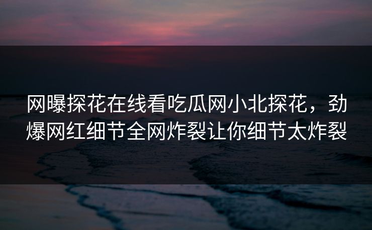网曝探花在线看吃瓜网小北探花，劲爆网红细节全网炸裂让你细节太炸裂  第1张