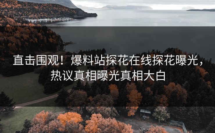 直击围观！爆料站探花在线探花曝光，热议真相曝光真相大白