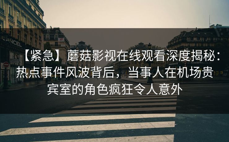 【紧急】蘑菇影视在线观看深度揭秘：热点事件风波背后，当事人在机场贵宾室的角色疯狂令人意外