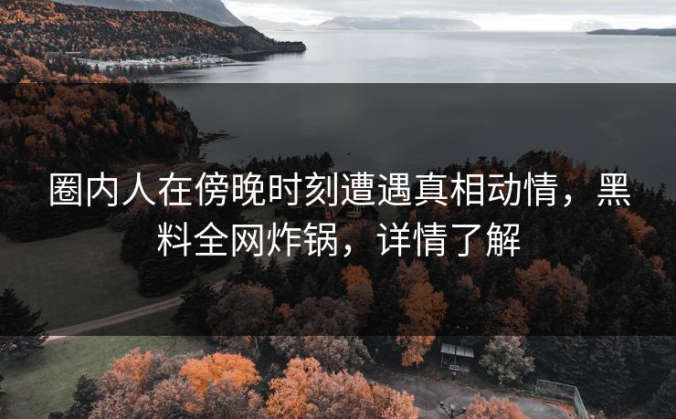 圈内人在傍晚时刻遭遇真相动情，黑料全网炸锅，详情了解
