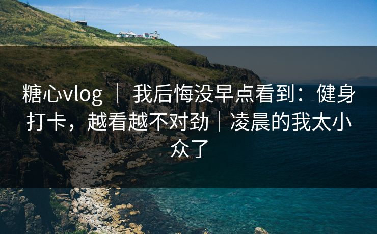 糖心vlog | 我后悔没早点看到:健身打卡,越看越不对劲|凌晨的我太小众了